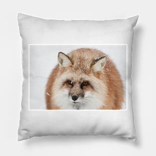 Red fox in the snow Pillow