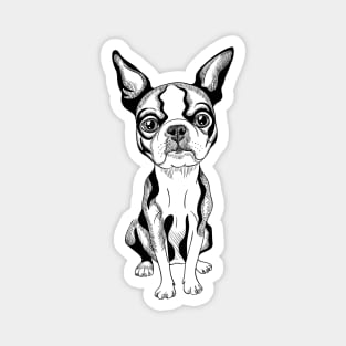 Boston Terrier Magnet