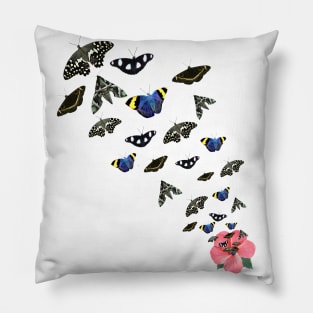 Butterflies and Hibiskus in Africa Pillow