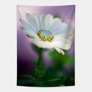 African Daisy Tapestry