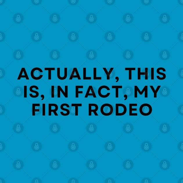 First Rodeo by Stick With Finn