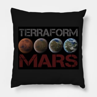 Terraform Mars Pillow
