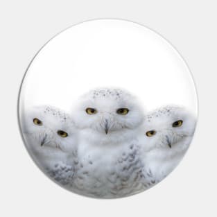 Mother Snowy Owl & Owlets Pin
