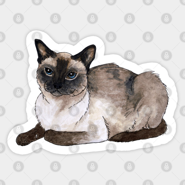 Siamese Cat Siamese Cat Sticker Teepublic