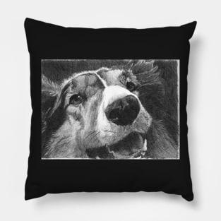 BRODY Pillow