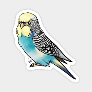 Bird - Budgerigar Parakeet - Blue and Yellow Magnet