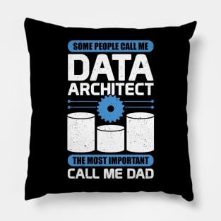 Data Architecture Database Architect Dad Gift Pillow