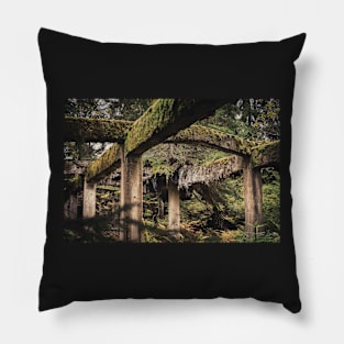 Nature takes control back #2 Pillow