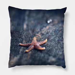 Beautiful Starfish Pillow