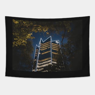 San Antonio Texas Frost Tower Tapestry