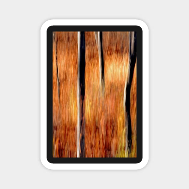 Autumn Abstract #2 Magnet by LaurieMinor