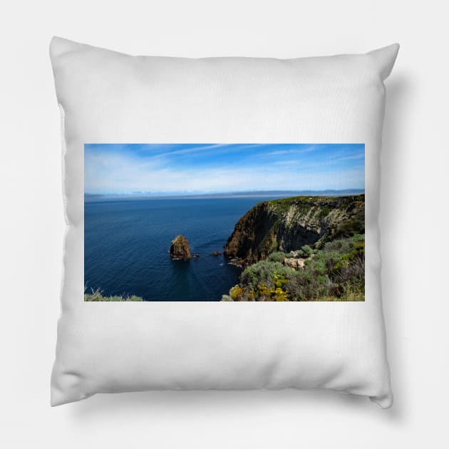 Channel Islands National Park Santa Cruz Pillow by supernova23