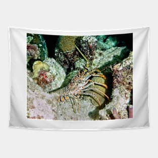 Caribbean Spotted Lobster on Night Dive Tapestry