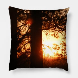Sunset Through Pines Pillow