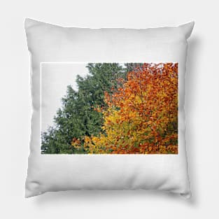 Coloured Leaves in Autumn Pillow