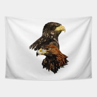 Golden Eagle and European Pigargo Tapestry