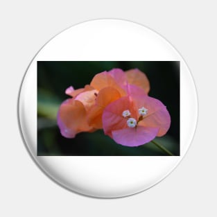 Bougainvillea Pin