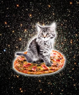 Galaxy Kitty Cat Riding Pizza In Space Magnet