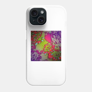 Evening gardens Phone Case