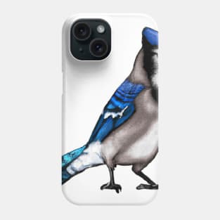 Cute Blue Jay Drawing Phone Case