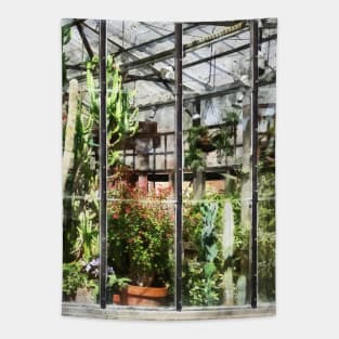 Greenhouse With Large Cactus Tapestry