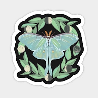 Luna Moth with Moon Phases Magnet