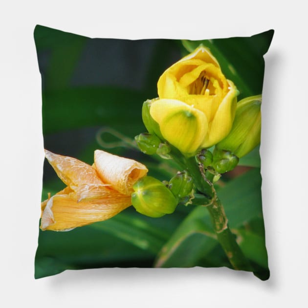 Those blooming flowers Pillow by FriendlyComputerHelp