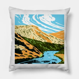 Rio Grande River Pillow