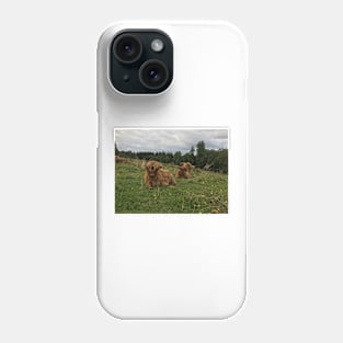 Scottish Highland Cattle Calves 1514 Phone Case