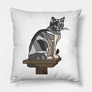 Grey Tabby Cat on Platform Pillow