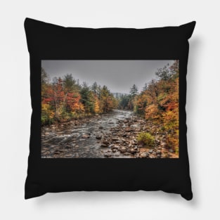 Swift River Autumn Pillow