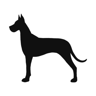 Black Great Dane Silhouette T-Shirt