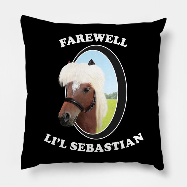 FAREWELL LIL SEBASTIAN Pillow by tvshirts