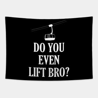 Funny Do You Even Lift Bro Ski/Snowboard Ski Lift Tapestry