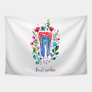 First molar Tapestry