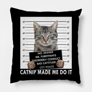 Catnip Made Me Do It Funny Cat Pillow