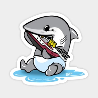 Little Shark Magnet