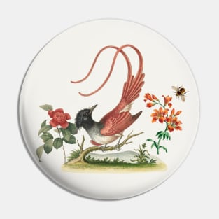 A Bird in the Paradise Garden. Nature Illustration Pin