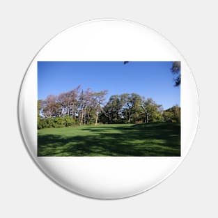 Trees Bent Hamilton Pin