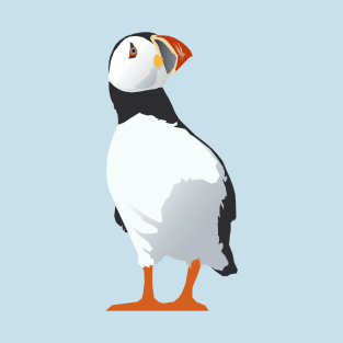 Curious Puffin - on aqua T-Shirt