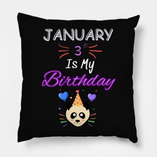 january 3st is my birthday Pillow