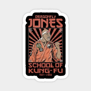 VINTAGE DRAGONFLY JONES SCHOOL OF KUNGFU Magnet