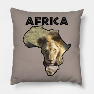 Africa Wildlife Continent Lion Stare Pillow