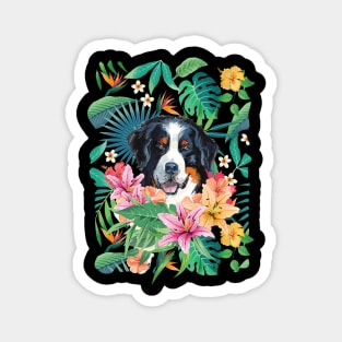 Berner Bernese Mountain Dog Magnet