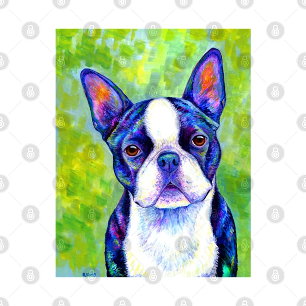 Effervescent Colorful Boston Terrier Dog by rebeccawangart