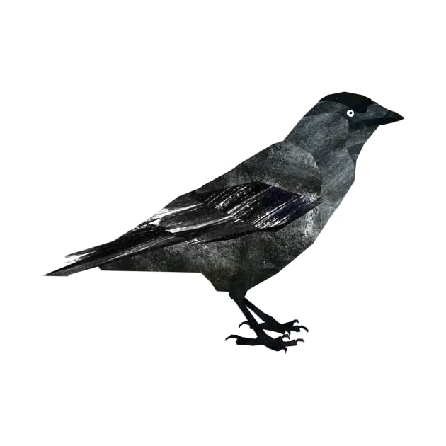 Jackdaw by Babban Gaelg