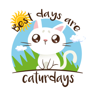 Best Days Are Caturdays Summer T-Shirt