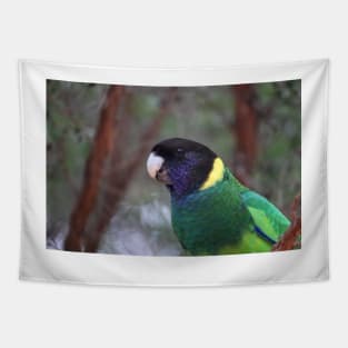 Australian Ringneck Parrot Tapestry