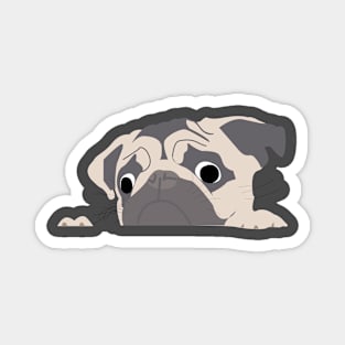 pug Magnet