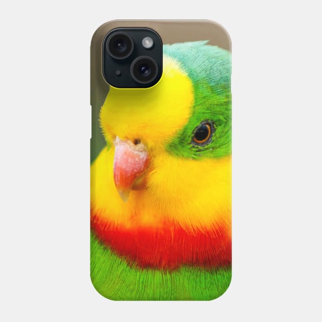 Superb Parrot Phone Case by Upbeat Traveler